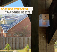Load image into Gallery viewer, Carpenter Bee Trap