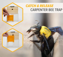 Load image into Gallery viewer, Carpenter Bee Trap